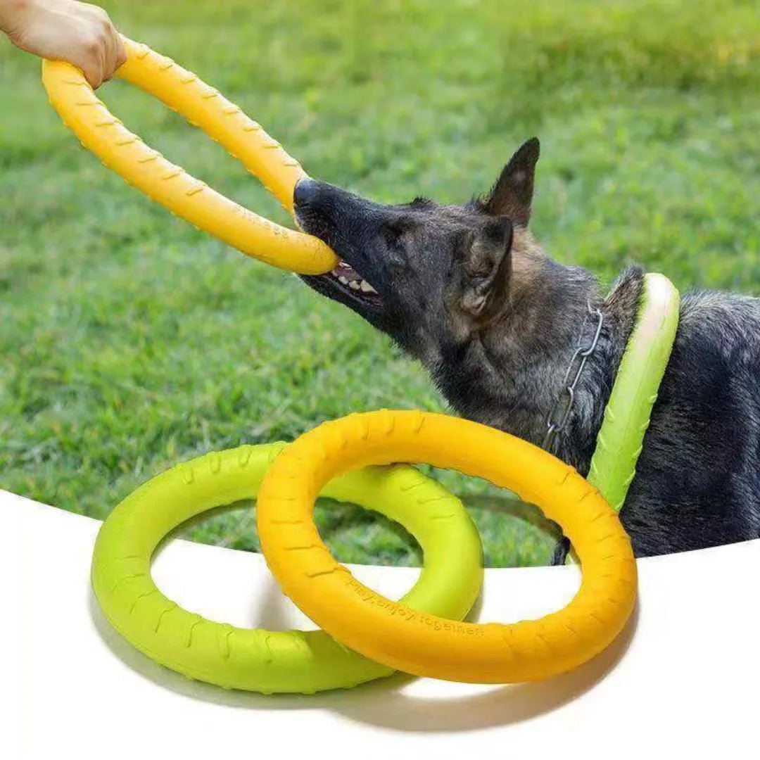 Dog Ring Toys Indestructible Chewing Flying Floating Training Tools Fetch for Small Medium Large Dogs Throwing Catching Flying - PetLiveliest - PetLiveliest - Chewing - Floating - Flying