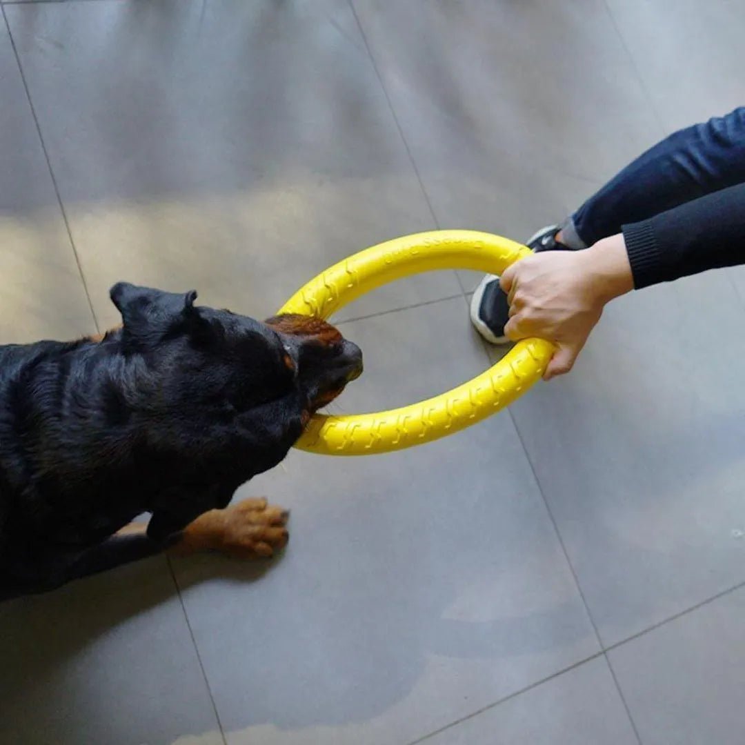 Dog Ring Toys Indestructible Chewing Flying Floating Training Tools Fetch for Small Medium Large Dogs Throwing Catching Flying - PetLiveliest - PetLiveliest - Chewing - Floating - Flying