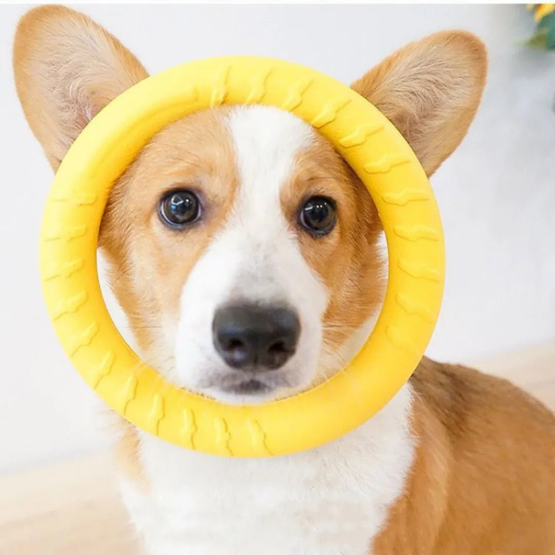 Indestructible Dog Ring Toy - PetLiveliest - PetLiveliest