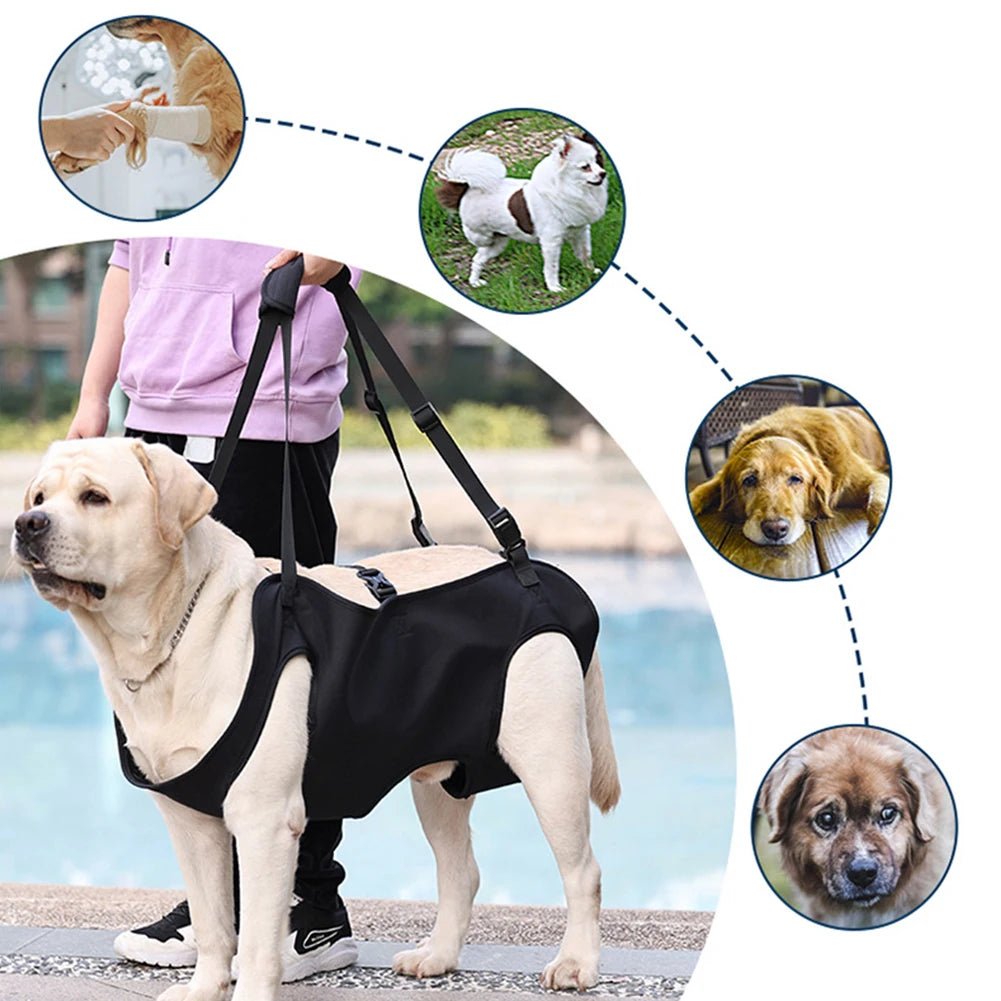 Dog Sling Carrier & Rehabilitation Harness Harness Black Dog Sling Carrier Legs Support Oxford cloth Rehabilitation PetLiveliest