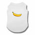 DOLC&BANANA Dog Vest - PetLiveliest - PetLiveliest - 