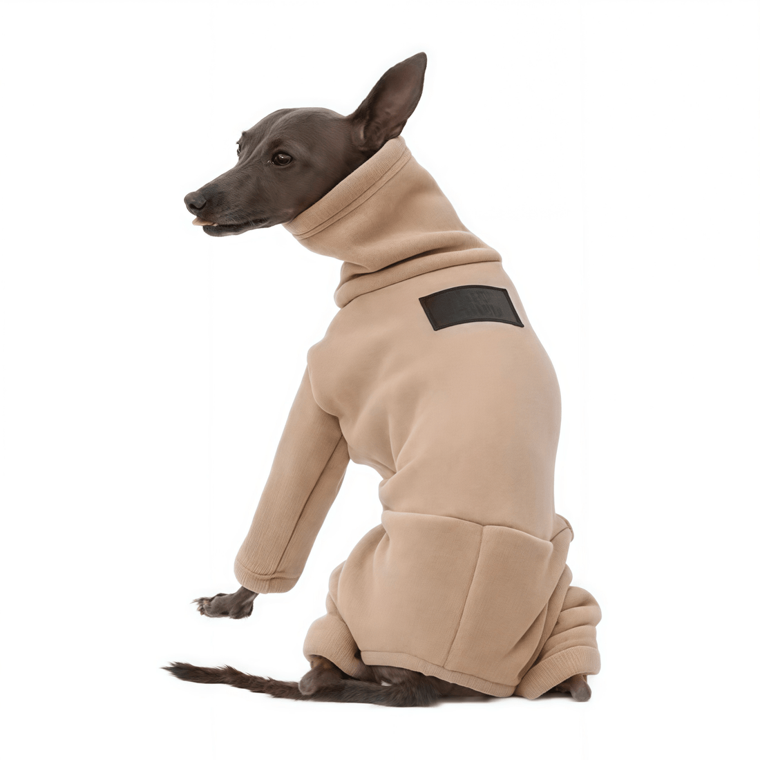 Double Sided Polar Fleece Four - legged Jumpsuit - PetLiveliest - PetLiveliest