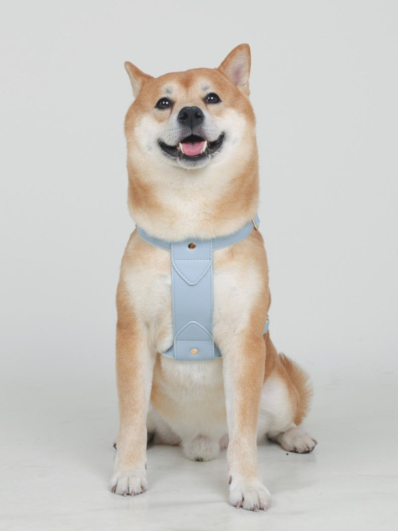 EQUES HARNESS - HAZE BLUE/WHITE - PetLiveliest - PetLiveliest - Car Booster Seat&Harness - Harness - Harness&Leash