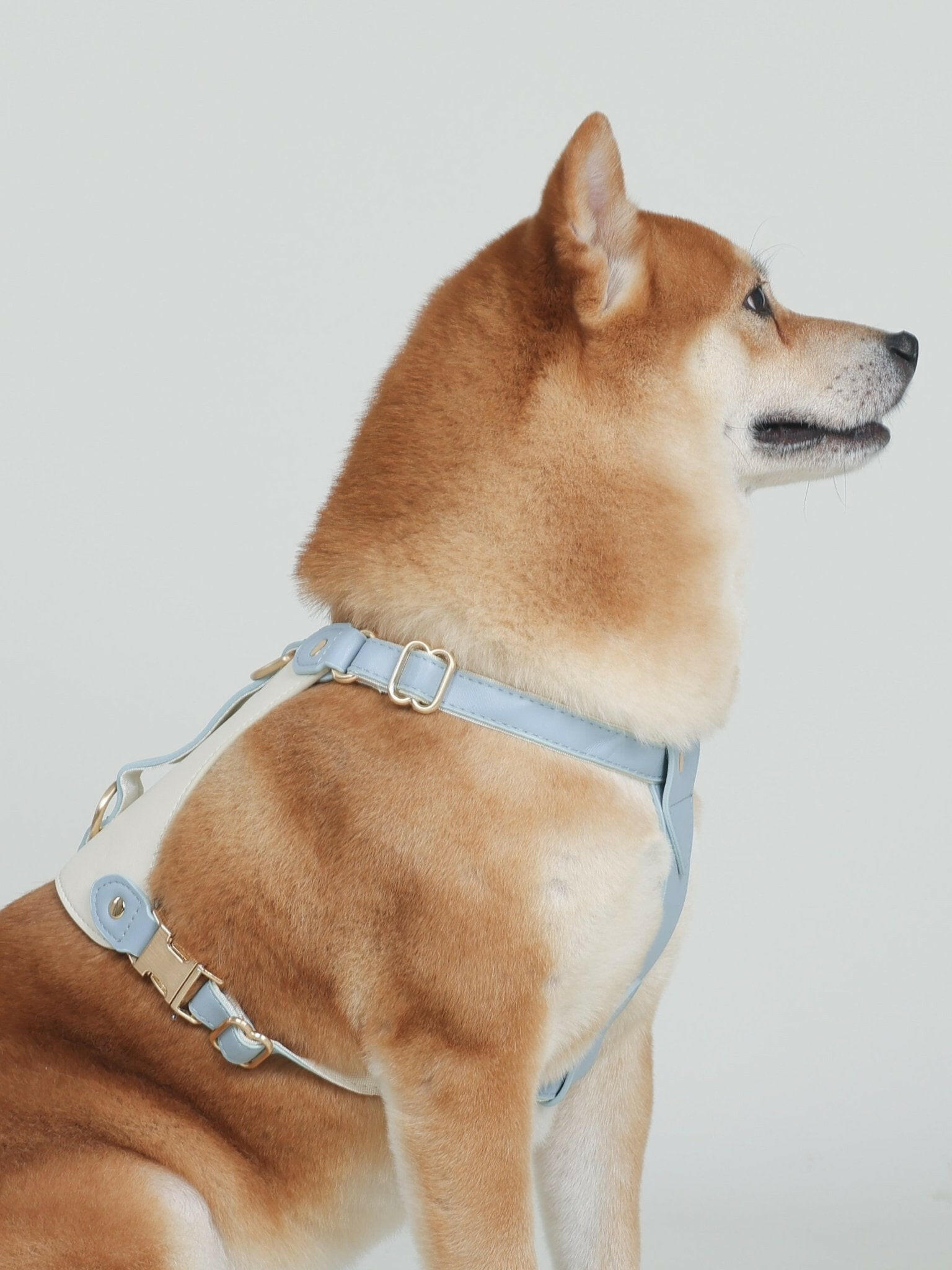 EQUES HARNESS - HAZE BLUE/WHITE Leather Harness Car Booster Seat&Harness Harness Harness&Leash Two-tone set PetLiveliest