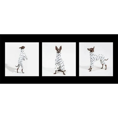 Four - legged Elastic Print Whippet Jumpsuit - PetLiveliest - PetLiveliest - 