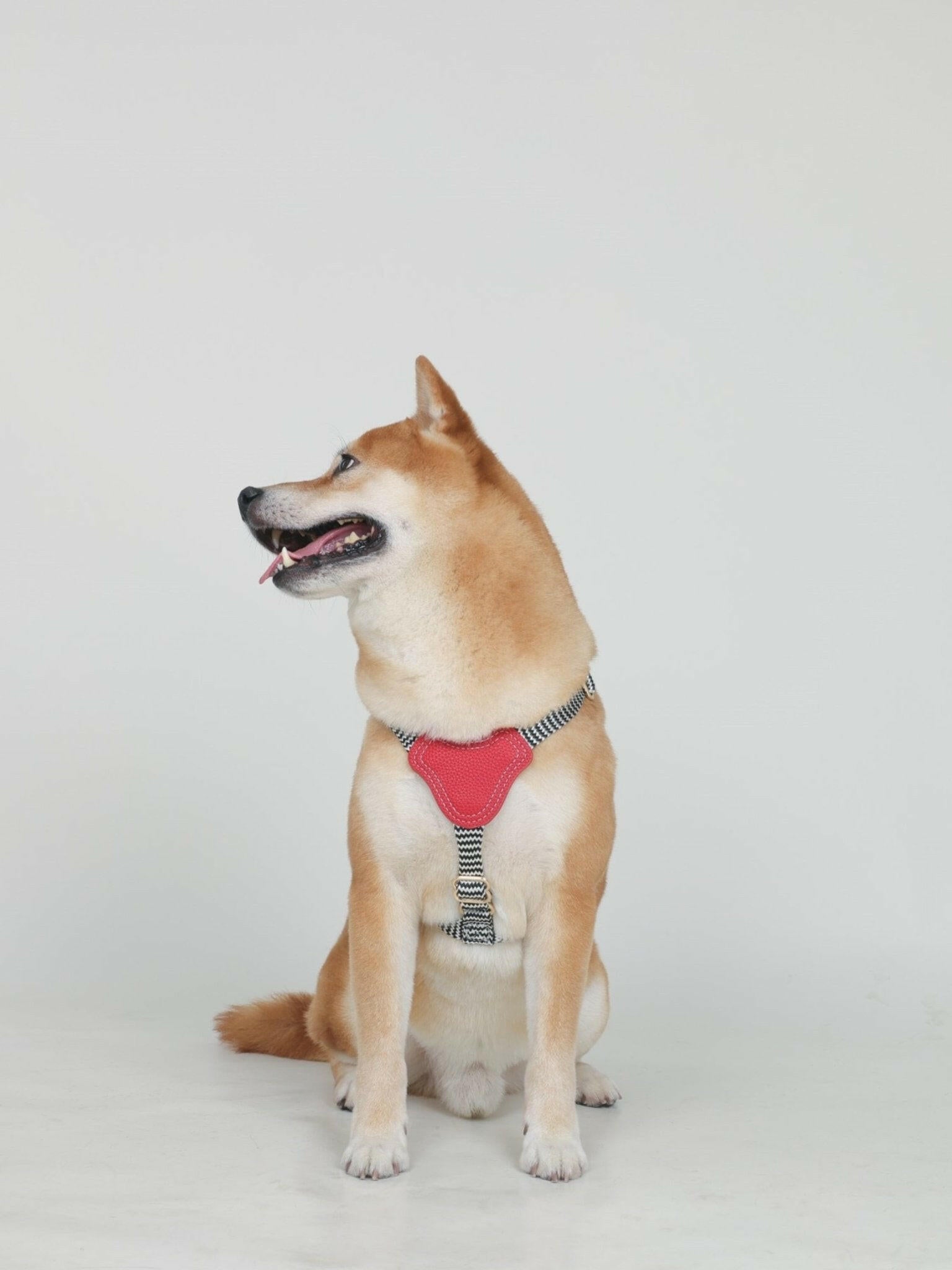 GLORIA HARNESS - MAROON - PetLiveliest - PetLiveliest - Car Booster Seat&amp;Harness - Harness - Harness&amp;Leash