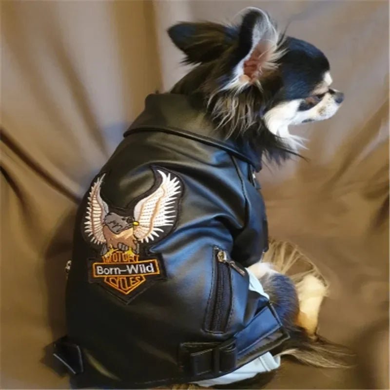 Glorious Eagle Pattern Waterproof Jacket - PetLiveliest - PetLiveliest - 