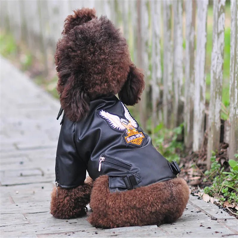 Glorious Eagle Pattern Waterproof Jacket - PetLiveliest - PetLiveliest - 