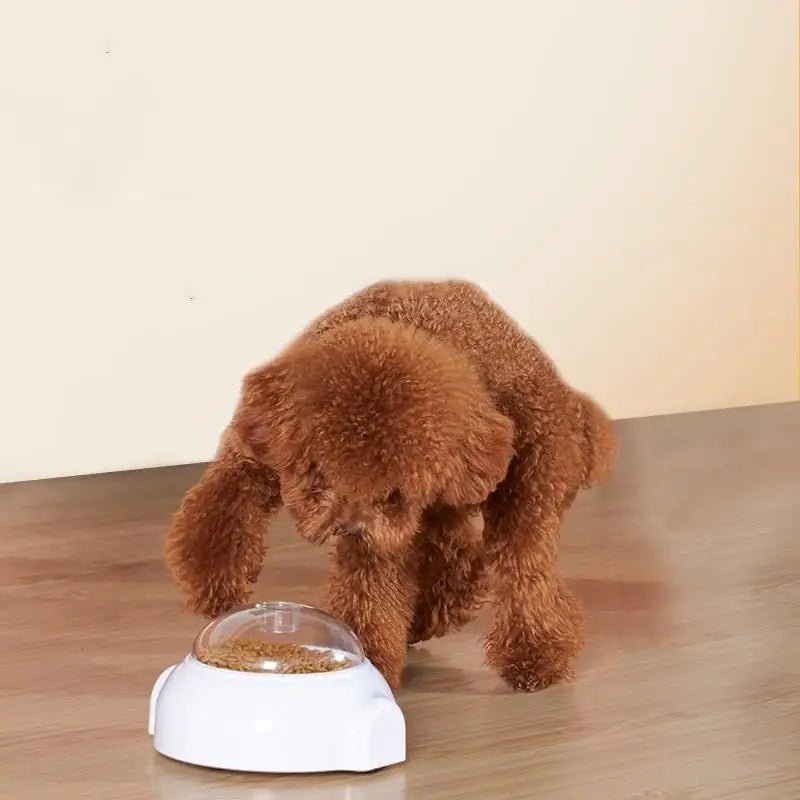 Intelligent Filling Dog Toy - Rolling &amp; Bouncing Fun! - PetLiveliest - PetLiveliest - 反弹 - 填充 - 智能