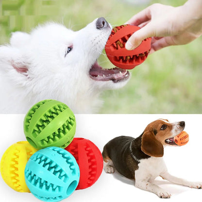 Interactive Leaking Ball Dog Toy - Chew Resistant &amp; Tooth Cleaning - PetLiveliest - PetLiveliest - 互动玩具 - 宠物玩具 - 橡胶玩具