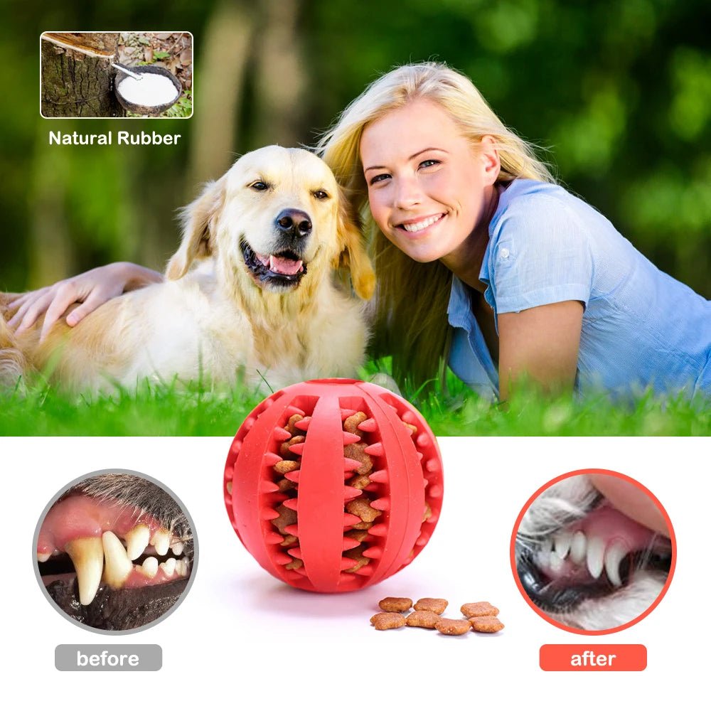 Interactive Leaking Ball Dog Toy - Chew Resistant &amp; Tooth Cleaning - PetLiveliest - PetLiveliest - 互动玩具 - 宠物玩具 - 橡胶玩具