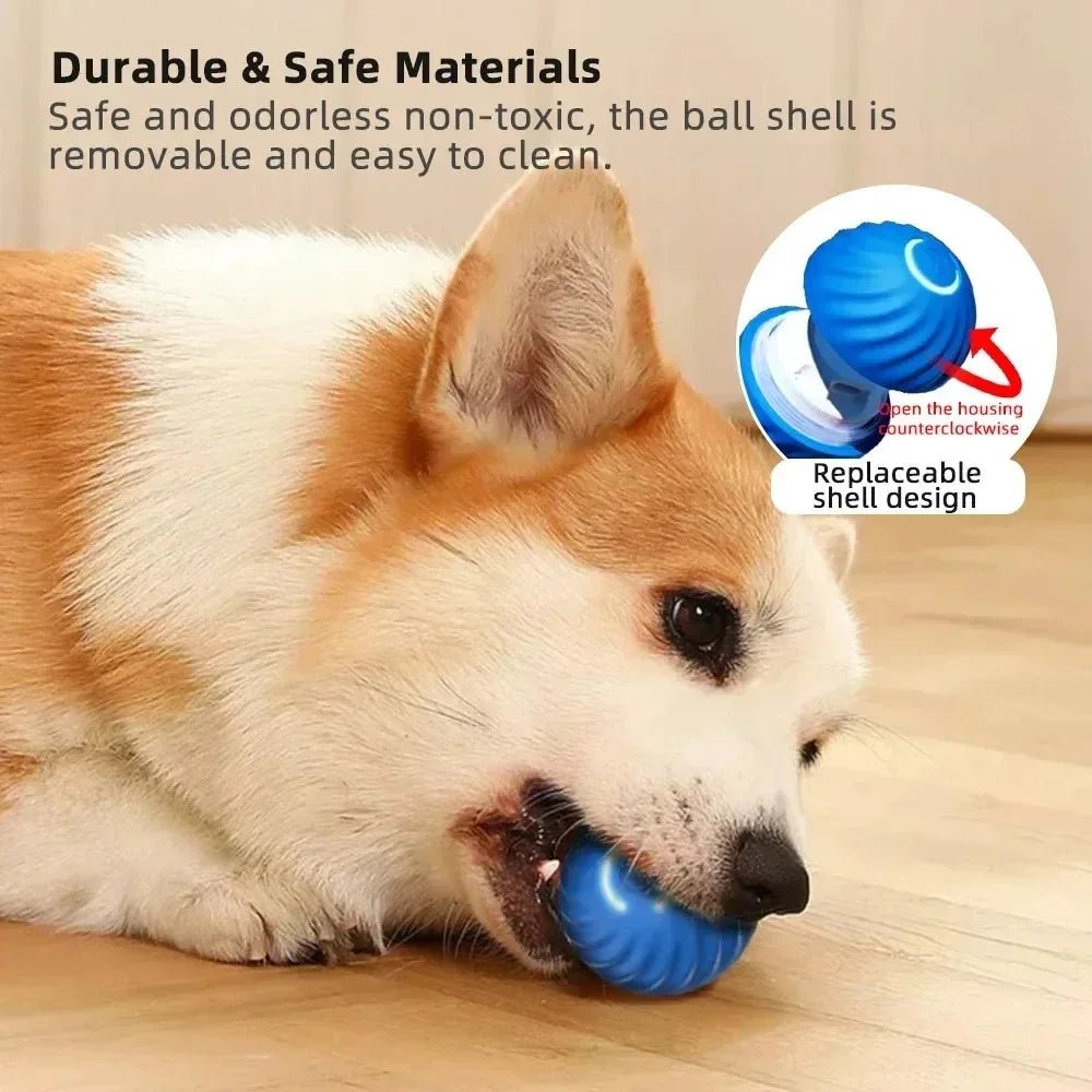 Interactive Smart Dog Toy Ball - PetLiveliest - PetLiveliest - LED灯 - 互动 - 可穿戴