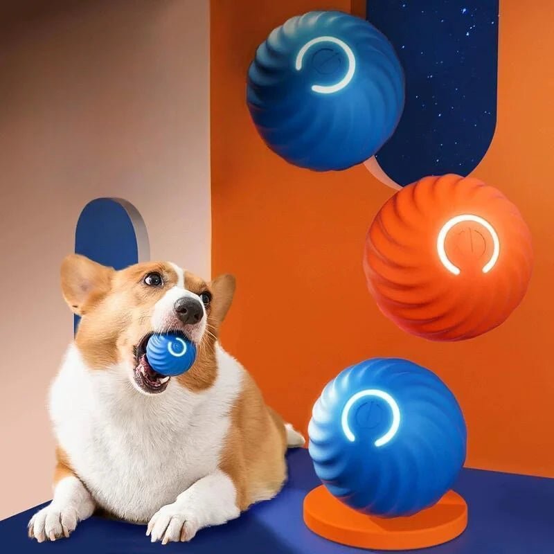 Interactive Smart Dog Toy Ball - PetLiveliest - PetLiveliest