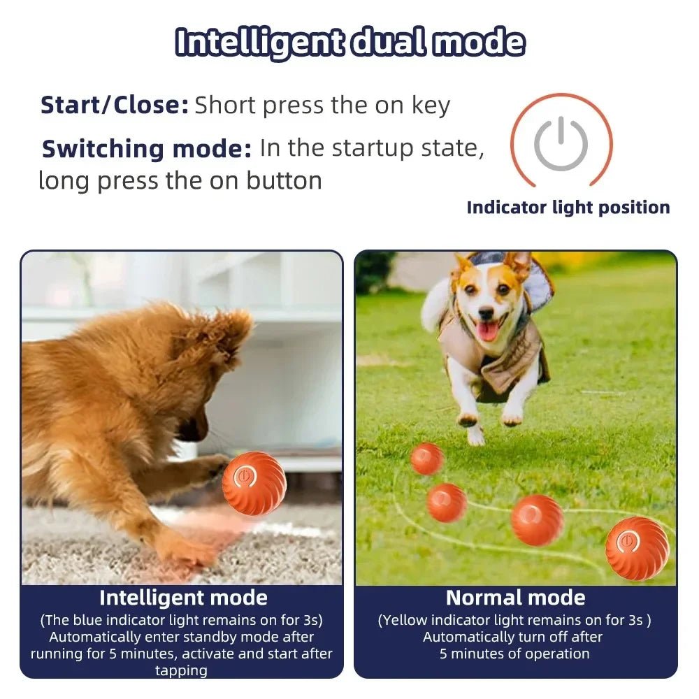 Interactive Smart Dog Toy Ball - PetLiveliest - PetLiveliest - LED灯 - 互动 - 可穿戴