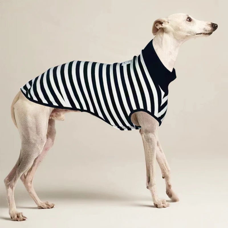 Italian Greyhound Striped Dress - Stretchy Summer Vest for Whippets - PetLiveliest - PetLiveliest - 夏季服饰 - 弹性材料 - 条纹裙