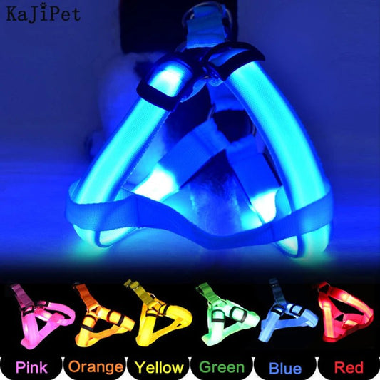 LED Pet Safety Harness with Flashing Light Harness LED狗背带 反光背带 多功能 宠物用品 尼龙材质 PetLiveliest