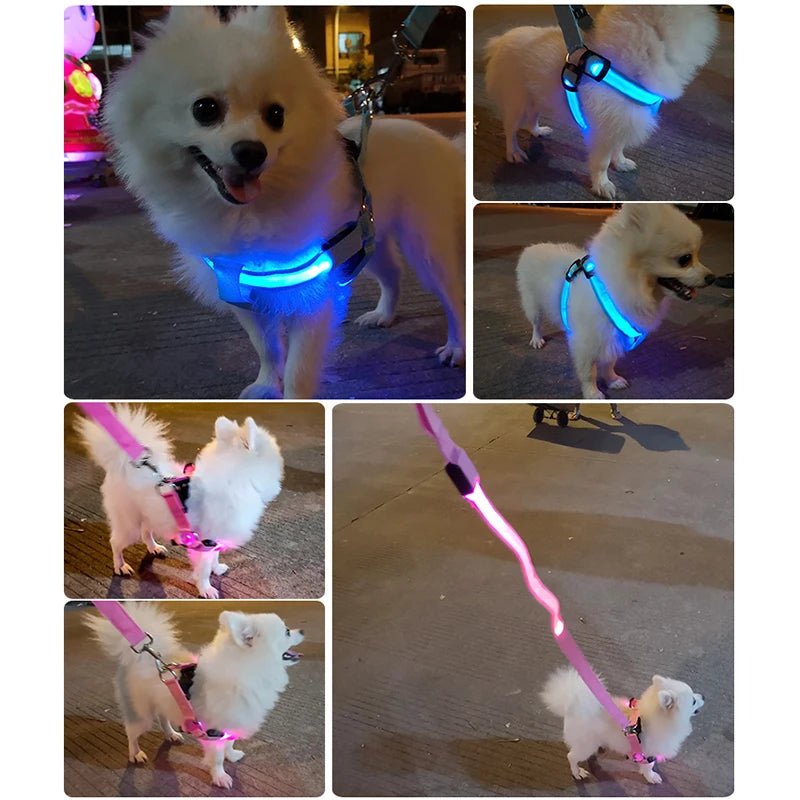 LED Pet Safety Harness with Flashing Light Harness LED狗背带 反光背带 多功能 宠物用品 尼龙材质 PetLiveliest