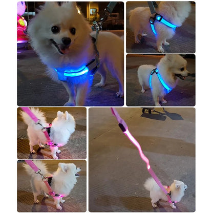 LED Pet Safety Harness with Flashing Light Harness LED狗背带 反光背带 多功能 宠物用品 尼龙材质 PetLiveliest