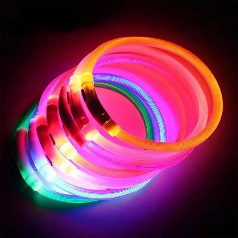 LED USB Dog Collar - Safety Flashing Glow Pet Accessory Collar Dog Collar LED Night Safety Rechargeable USB PetLiveliest