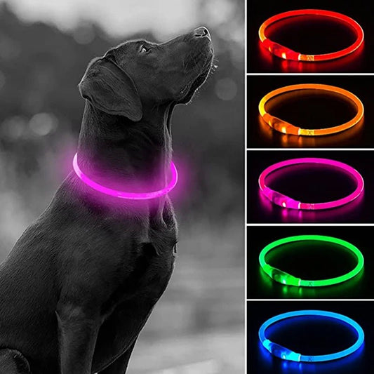 LED USB Dog Collar - Safety Flashing Glow Pet Accessory Collar Dog Collar LED Night Safety Rechargeable USB PetLiveliest