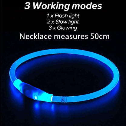 LED USB Dog Collar - Safety Flashing Glow Pet Accessory Collar Dog Collar LED Night Safety Rechargeable USB PetLiveliest