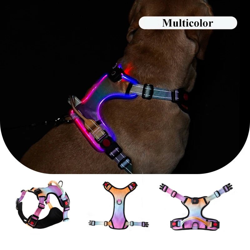 Light Up LED Dog Harness with Handle Multicolor Harness LED 三种尺寸 反光 可充电 夜间安全 PetLiveliest