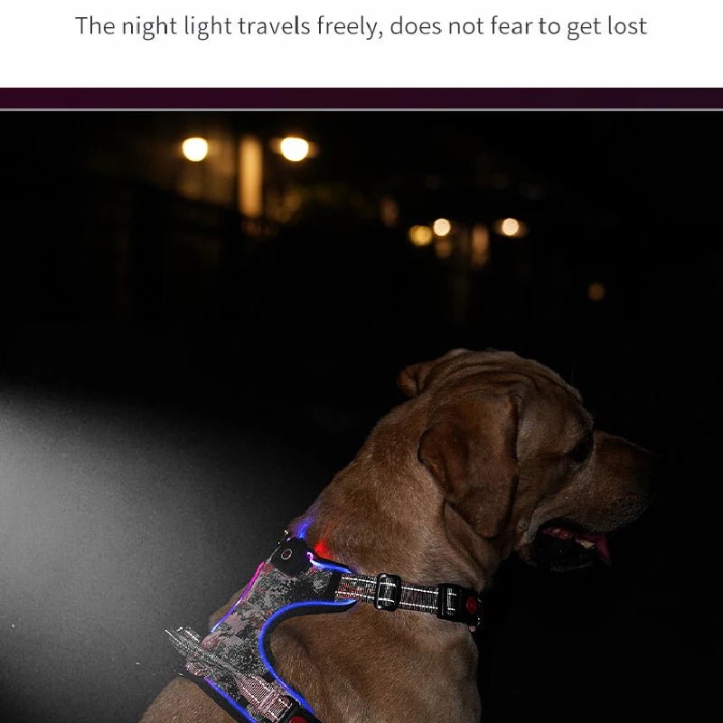 Light Up LED Dog Harness with Handle Harness LED 三种尺寸 反光 可充电 夜间安全 PetLiveliest