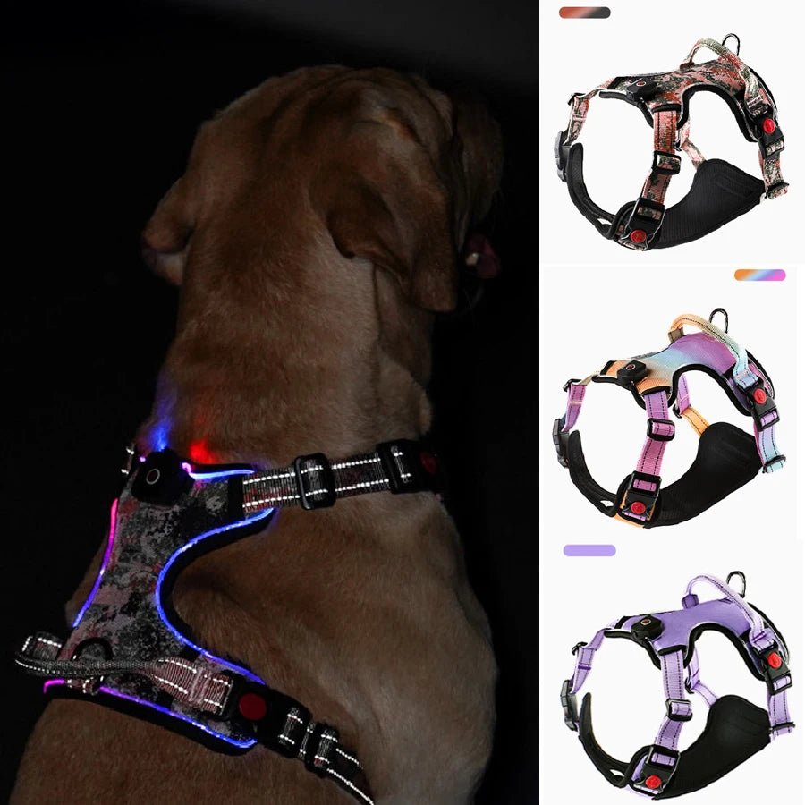 Light Up LED Dog Harness with Handle Harness LED 三种尺寸 反光 可充电 夜间安全 PetLiveliest