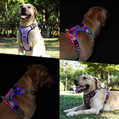 Light Up LED Dog Harness with Handle Harness LED 三种尺寸 反光 可充电 夜间安全 PetLiveliest