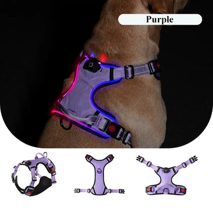 Light Up LED Dog Harness with Handle PURPLE Harness LED 三种尺寸 反光 可充电 夜间安全 PetLiveliest