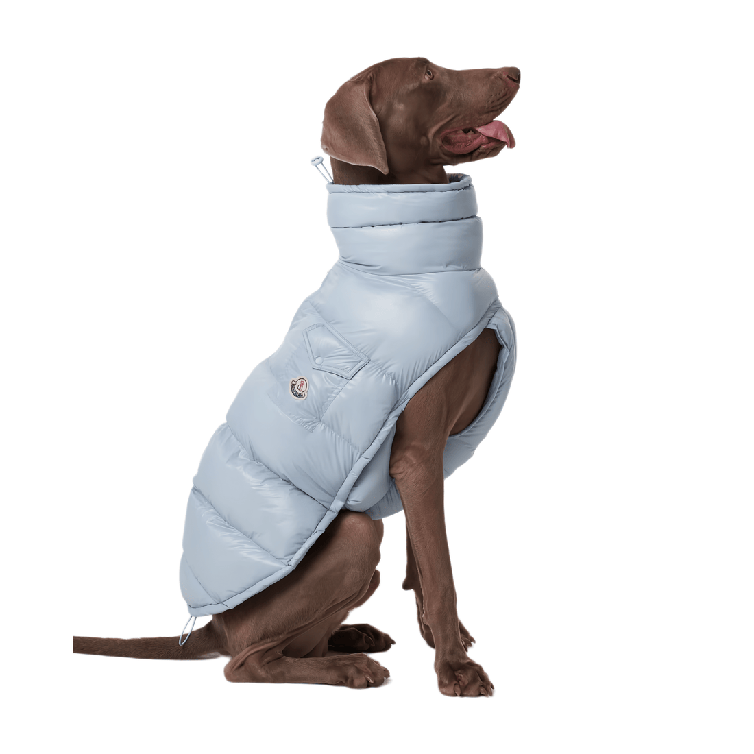 Lightweight Warm Dog Puffer Vest - PetLiveliest - PetLiveliest