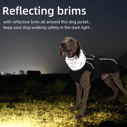 Luxury Winter Jacket for Small Medium Large Dogs Safety Reflective Dog Outfit - PetLiveliest - PetLiveliest - Dog Outfit - Luxury - Reflective