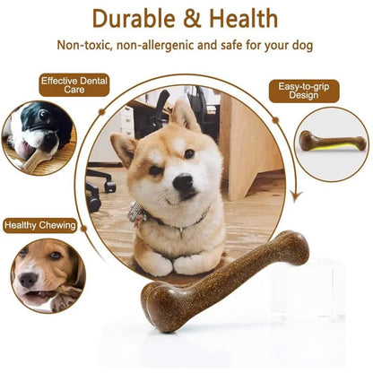 Nearly Indestructible Dog Bone Chews Toys Stick & Snacks Chew Toys Dental Health Indestructible Non-Toxic Small PetLiveliest