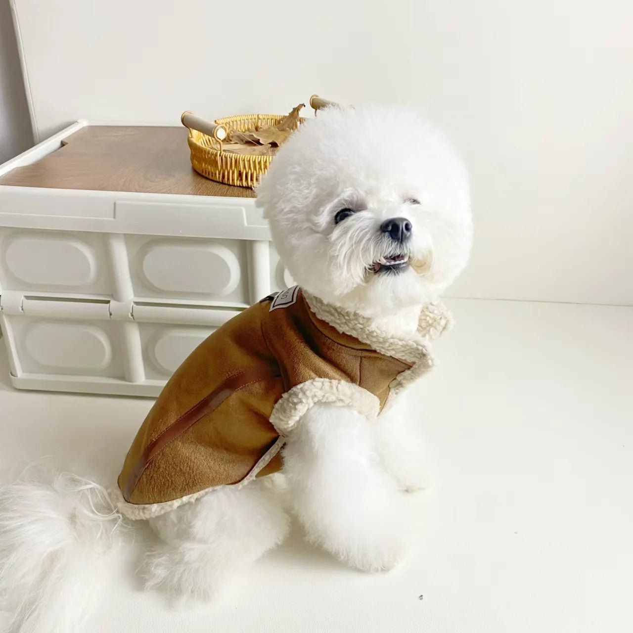 Pet Autumn Winter Velvet Sleeveless Vest Teddy Schnauzer Bichon Puppy Clothes - PetLiveliest - PetLiveliest - 小型犬 - 斯奈杰犬 - 无袖