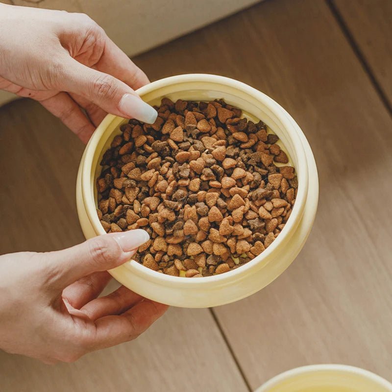 Pet Ceramic Bowl Set - Elevated Feeding Bowls Bowls 宠物碗 宠物饲料器具 小型狗 小型猫 陶瓷碗 PetLiveliest