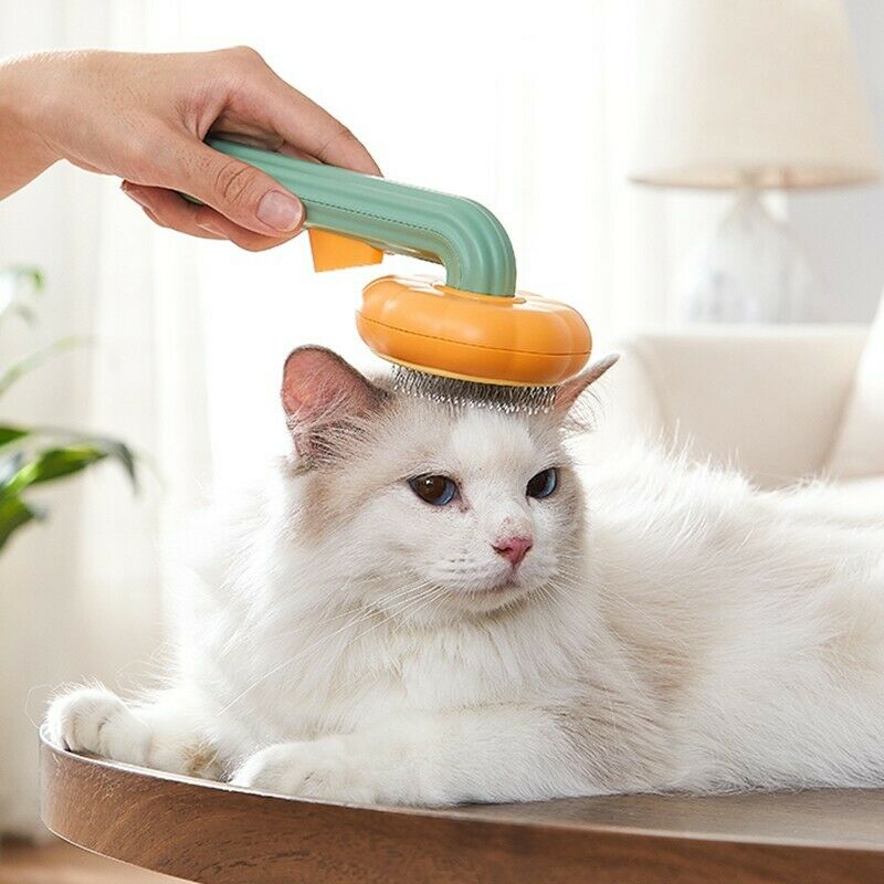 Pet Pumpkin Brush, Self-Cleaning Slicker Brush Hair Removal & Lint Rollers ABS材質 不易刮傷 寵物美容刷 秋季寵物梳理 自清潔專業寵物梳 PetLiveliest