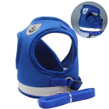 Premium Dog Harness & Leash Set for Small Dogs Blue Harness & Leash Set 哈巴狗 法斗 犬用品 绳索套装 胸背带 PetLiveliest