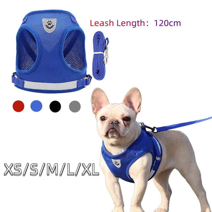 Premium Dog Harness & Leash Set for Small Dogs Harness & Leash Set 哈巴狗 法斗 犬用品 绳索套装 胸背带 PetLiveliest