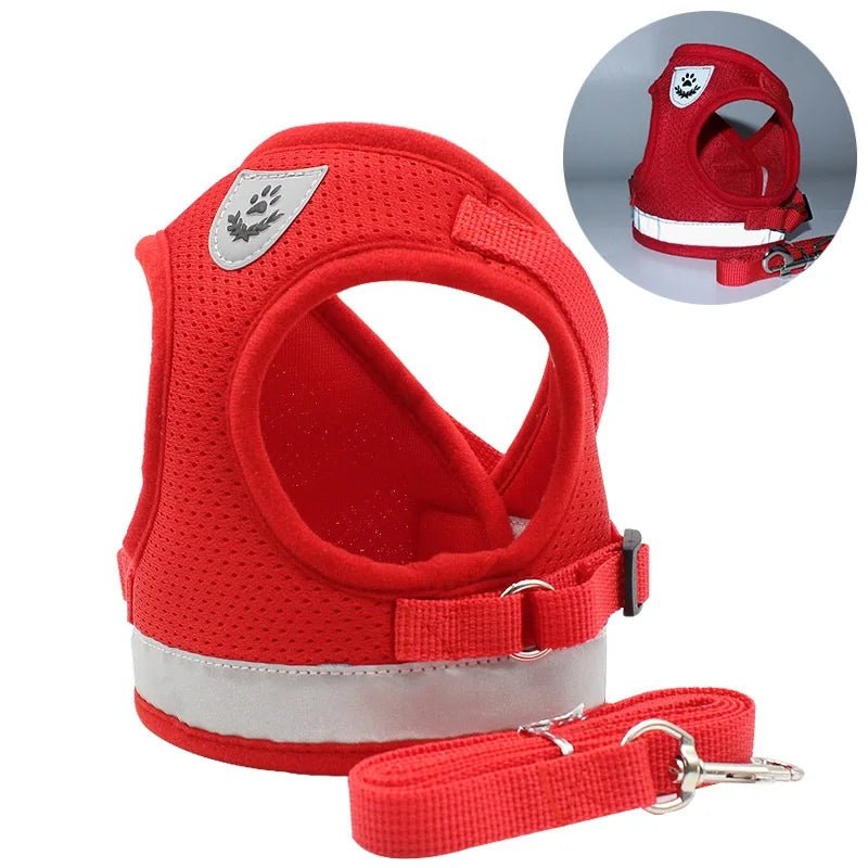 Premium Dog Harness & Leash Set for Small Dogs Red Harness & Leash Set 哈巴狗 法斗 犬用品 绳索套装 胸背带 PetLiveliest