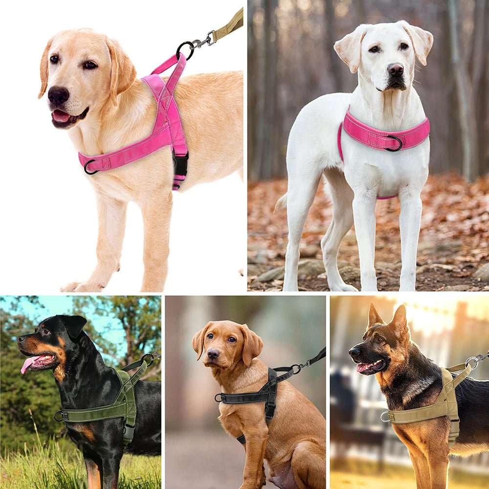 Reflective Dog Harness with Handle - No Pull Training Harness 反光 可调节 尼龙 耐用 透气 PetLiveliest