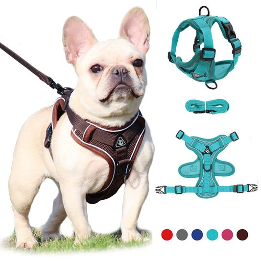 Reflective Mesh Dog Harness Leash Set Harness & Leash Set 反光 宠物胸背带 小狗 猫 透气 PetLiveliest