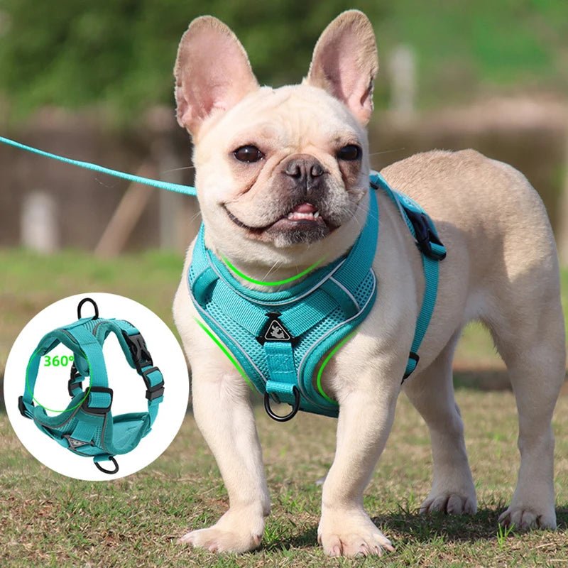 Reflective Mesh Dog Harness Leash Set Harness & Leash Set 反光 宠物胸背带 小狗 猫 透气 PetLiveliest