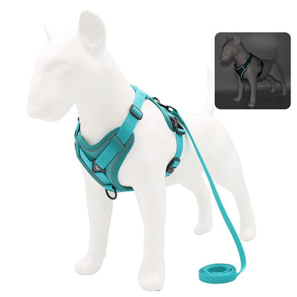 Reflective Mesh Dog Harness Leash Set Cyan Harness & Leash Set 反光 宠物胸背带 小狗 猫 透气 PetLiveliest