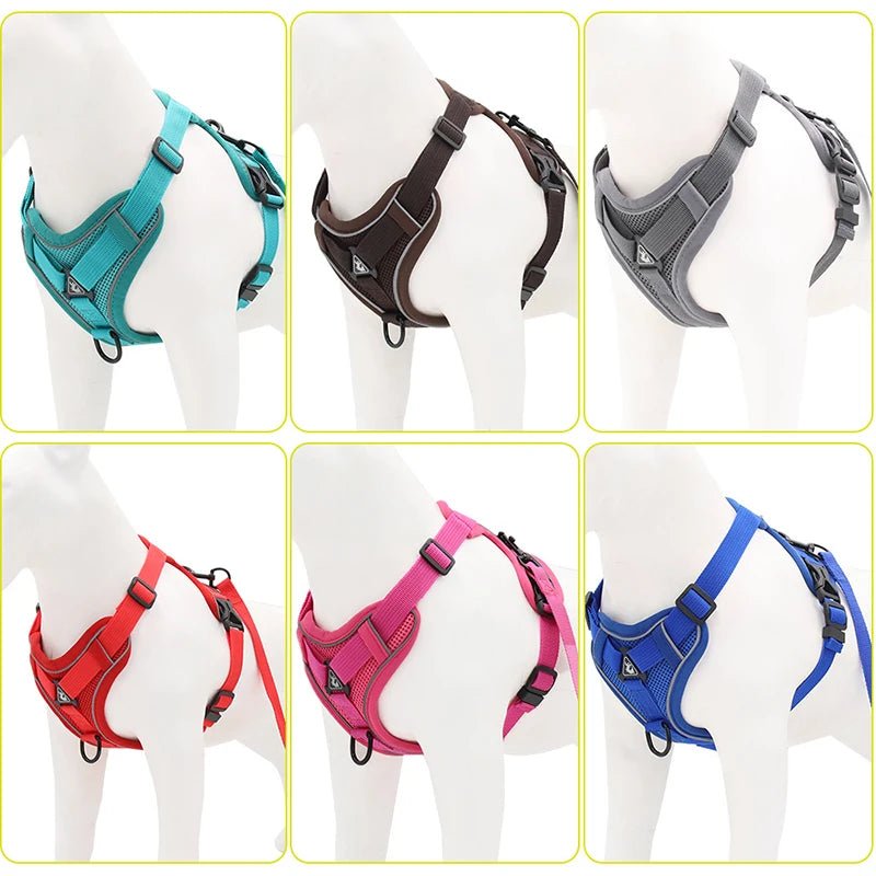 Reflective Mesh Dog Harness Leash Set Harness & Leash Set 反光 宠物胸背带 小狗 猫 透气 PetLiveliest