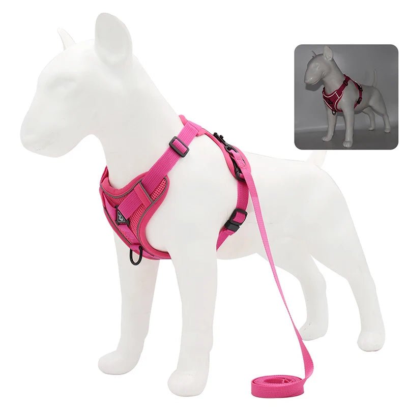 Reflective Mesh Dog Harness Leash Set Rose Red Harness & Leash Set 反光 宠物胸背带 小狗 猫 透气 PetLiveliest