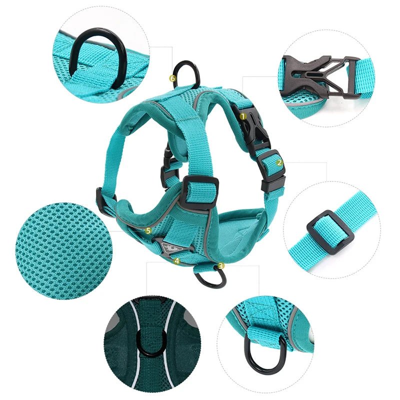 Reflective Mesh Dog Harness Leash Set Harness & Leash Set 反光 宠物胸背带 小狗 猫 透气 PetLiveliest