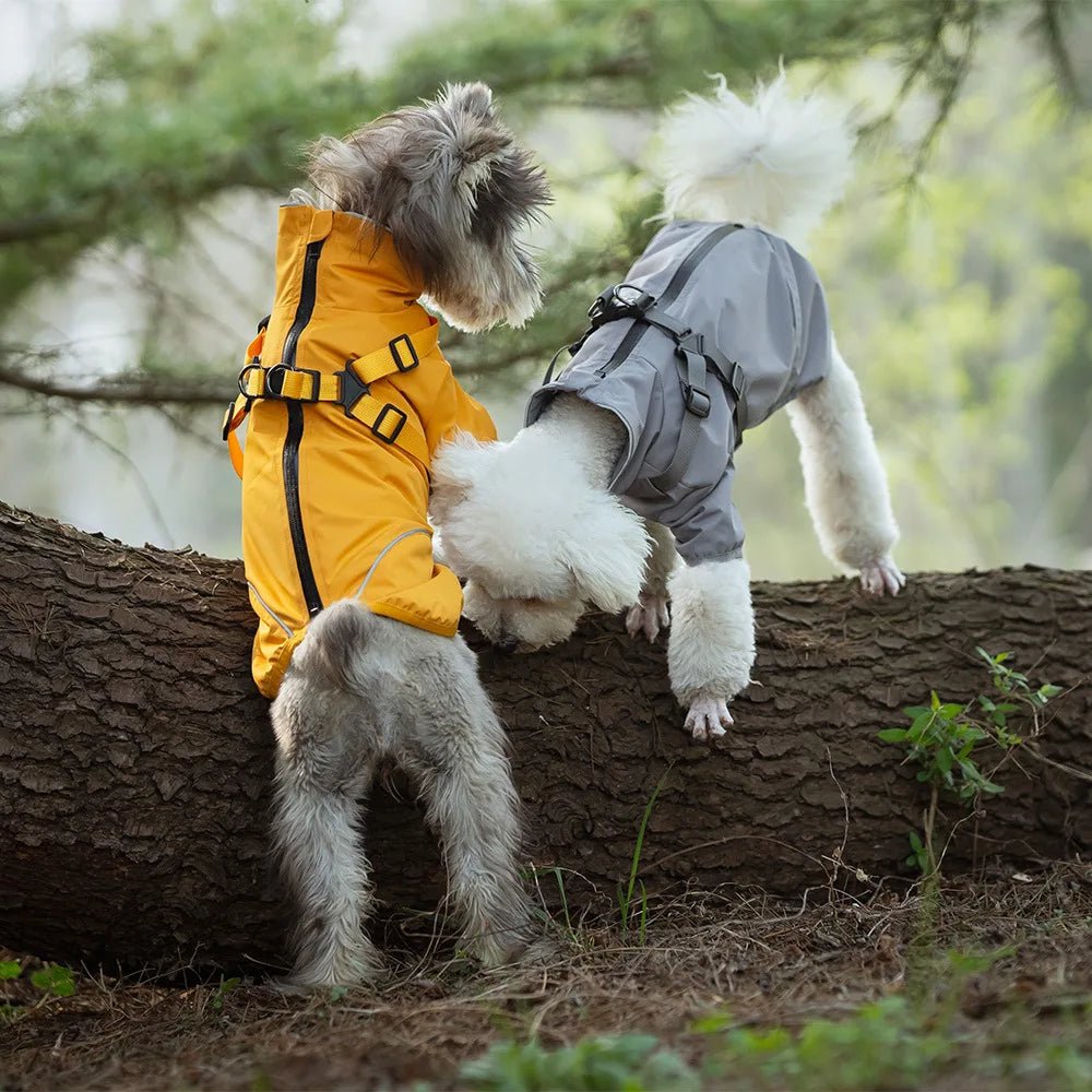 Reflective Waterproof Dog Rain Jacket with Harness for Jungle Camping - PetLiveliest - PetLiveliest