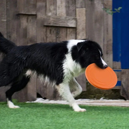 Silicone Flying Saucer Dog Cat Toy - Interactive Pet Supplies - PetLiveliest - PetLiveliest - 互动 - 宠物 - 硅胶