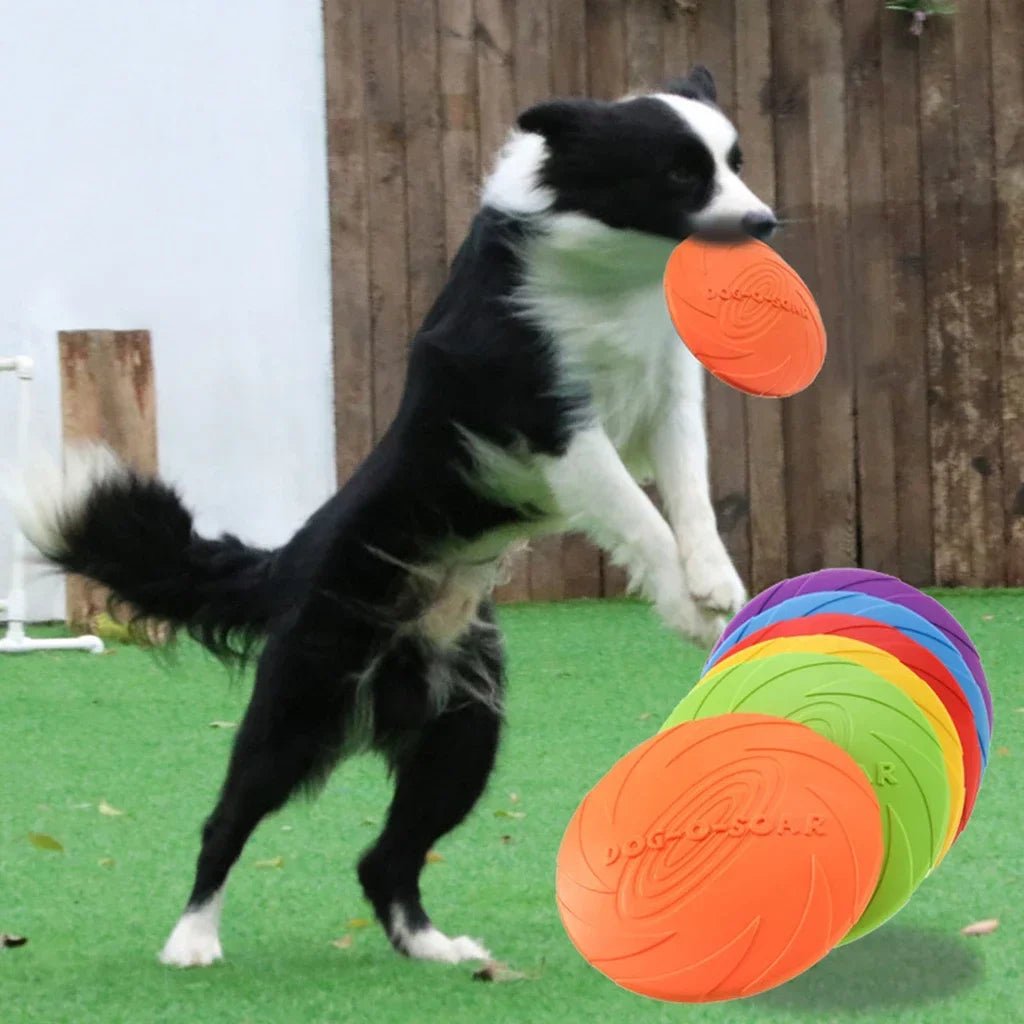 Silicone Flying Disc for Dogs - PetLiveliest - PetLiveliest