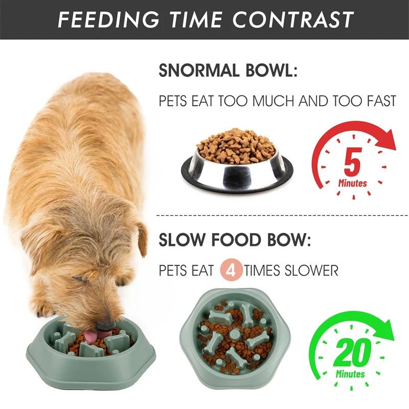 Slow Feeder Dog Bowl - Anti - Choking Puzzle Bowl - PetLiveliest - PetLiveliest - Anti - Choking - Easy to Clean - Interactive